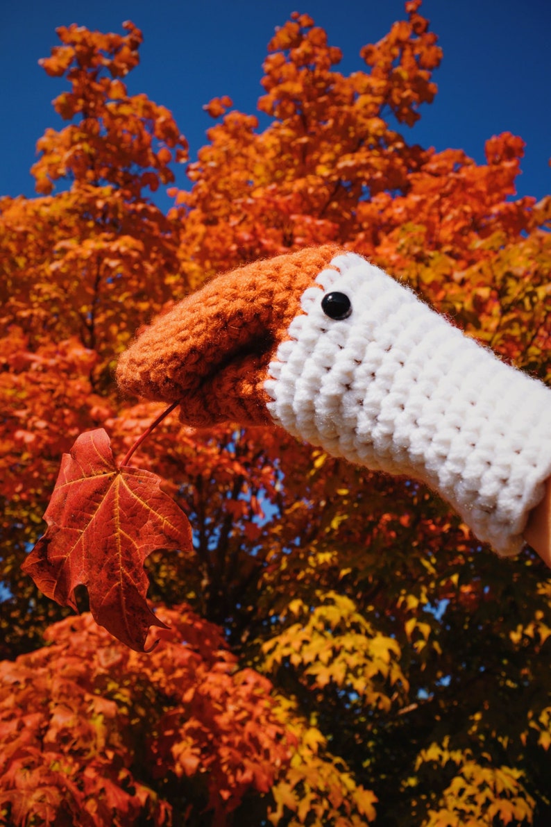 Goose Mittens Crochet Pattern